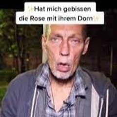 Die Rose Hat Mich Gebissen(AUA) - Drobss