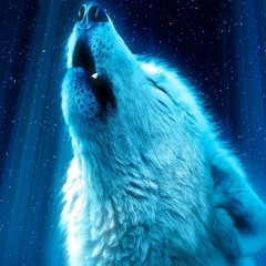 Deadgreenbird & DJ Spyroof - Loss Of An Angel