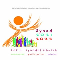 Synod Information Session November 2021
