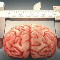 Délires pédagogiques à gogo - Chronique du Village planétaire du 25/05/21