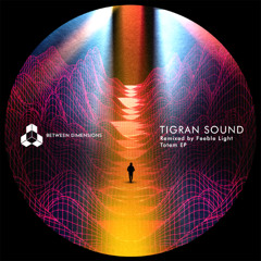 Tigran Sound - Bongo Monk (Feeble Light Remix)