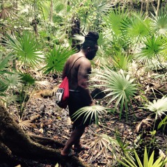 Step by Step (Roadtorecoveryset)