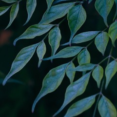 2025-08-24-TheBookOfSignsinJohnsGospel-Pt11k