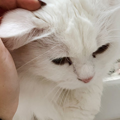 перед тобой