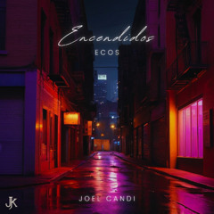 Lights Until Dawn x Estamos Encendidos (EDM Festival Anthem)