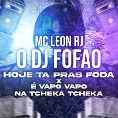 MC LEON RJ - O DJ FOFAO HOJE TA PRAS FODA - É VAPO VAPO FT. DJ FOFAO USA