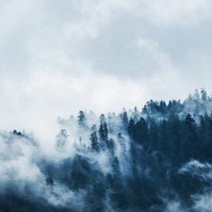 Euphoria (King Of Beats: Black Friday Edition)
