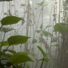 a bugs life