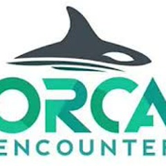 One big world - seaworld orca encounter soundtrack