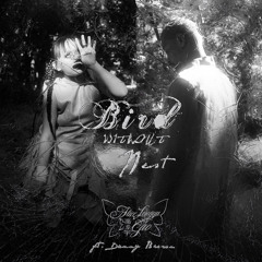 Bird W/O Nest (feat. Danny Brown)