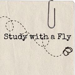 Study With A Fly