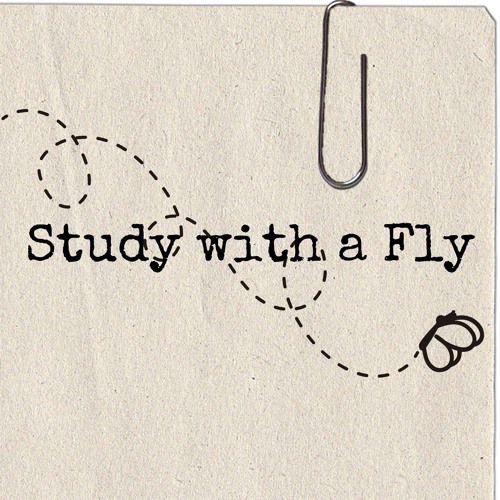 Study With A Fly