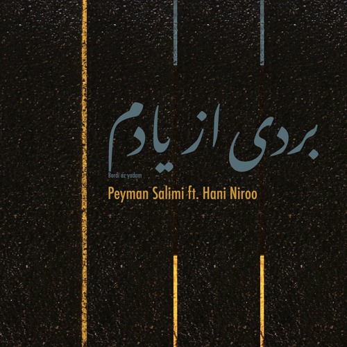 Peyman Salimi ft. Hani Niroo - Bordi Az Yadam