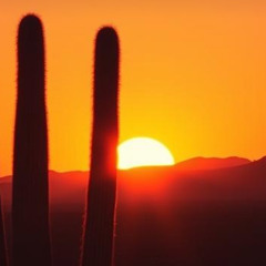 El calor