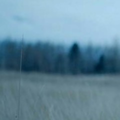 Siidechain - Cold Again