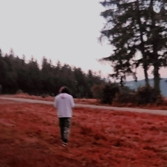 switch nos fate (prod.yung aeon)