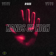 D!GGS - Hands Up High