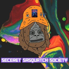 Kiwiburn 24: Prog // Effigy Burn Night @ Secret Sasquatch Society
