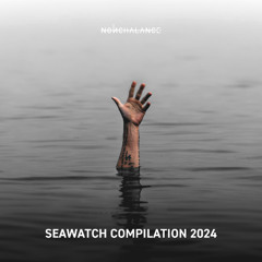 NonStop Seawatch Compilation 2024