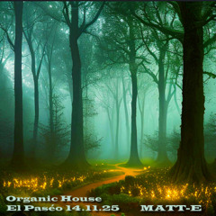 Organic House Matt-E @elpaséo 14.11.25
