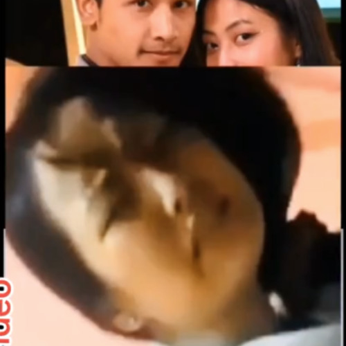 Original@ Watch [FULL18++] deekila sherpa kanda mms deekila sherpa aniket reddit twitter deekila sherpa video 5.58 telegram link