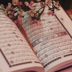 Omar Hisham Al Arabi -Surah Al Kahf سورة الكهف