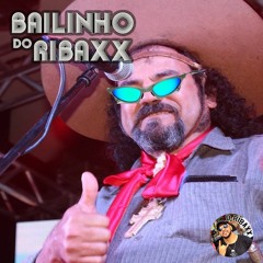 BAILINHO DO RIBAXX (Camisa Do Grêmio, Gasolina, Fundo Da Grota, C Tem Meu Wpp, Bndinhas) - FUNK 2K21