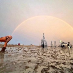 BURNING MAN 2023 - DON'T BE A DIPLO! - (Animalia Farting Rainbows)
