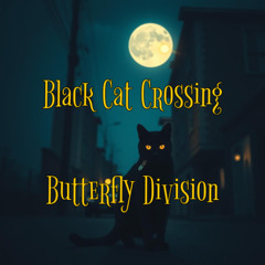 Black Cat Crossing