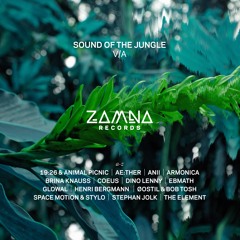 SOUND OF THE JUNGLE ! Various Artists