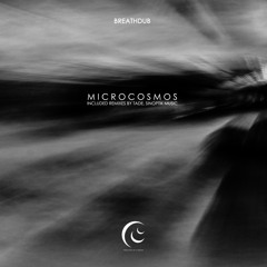 BREATHDUB - Microcosmos (Sinoptik Music Remix)