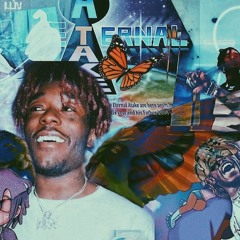 The money go where i go