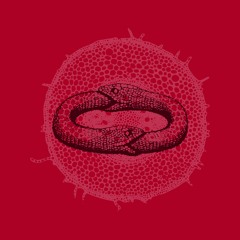 Disludi (Psychedelicl Mix)