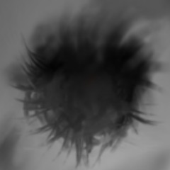 Orbit