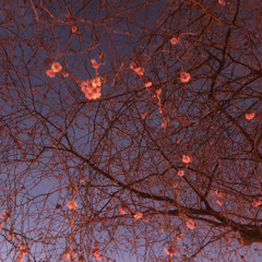 Stock compressor spoils me rotten