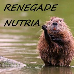 RENEGADE NUTRIA ( Free Download)