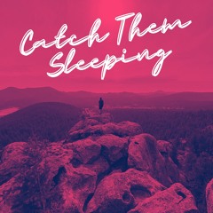 Catch Them Sleeping