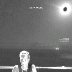 META ANGEL - sadness ( Мумий Тролль - Такие девчонки.  Похитители книг remix)