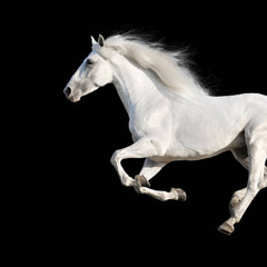 Laid Back - White Horse (S A M U E L Remix)