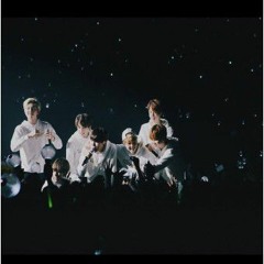 BTS- You Never Walk Alone