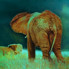 March of the Elephant