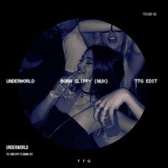 UNDERWORLD - BORN SLIPPY  (TTG EDIT) ~ free download