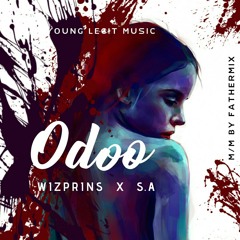 ODOO - Wizprins ft S.A