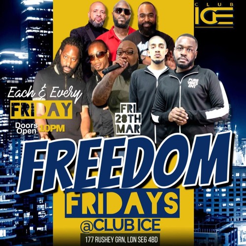 Pure Vibes Ent - Live At Freedom Friday's 28.03.2025