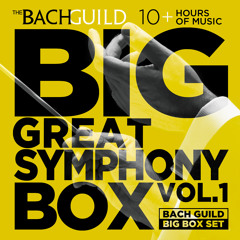 Franz Peter Schubert: Symphony No. 5 in B-flat Major, D. 485: iv. Allegro vivace
