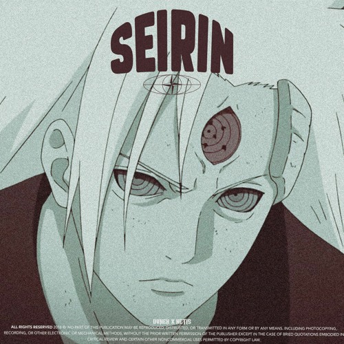 SEIRIN W/NETIS