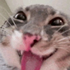 I'll be your love song  by: QKReign x Frozy (Not full released)