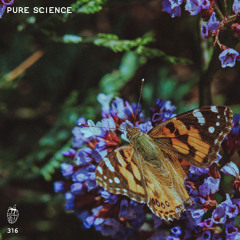 MDC.316 Pure Science
