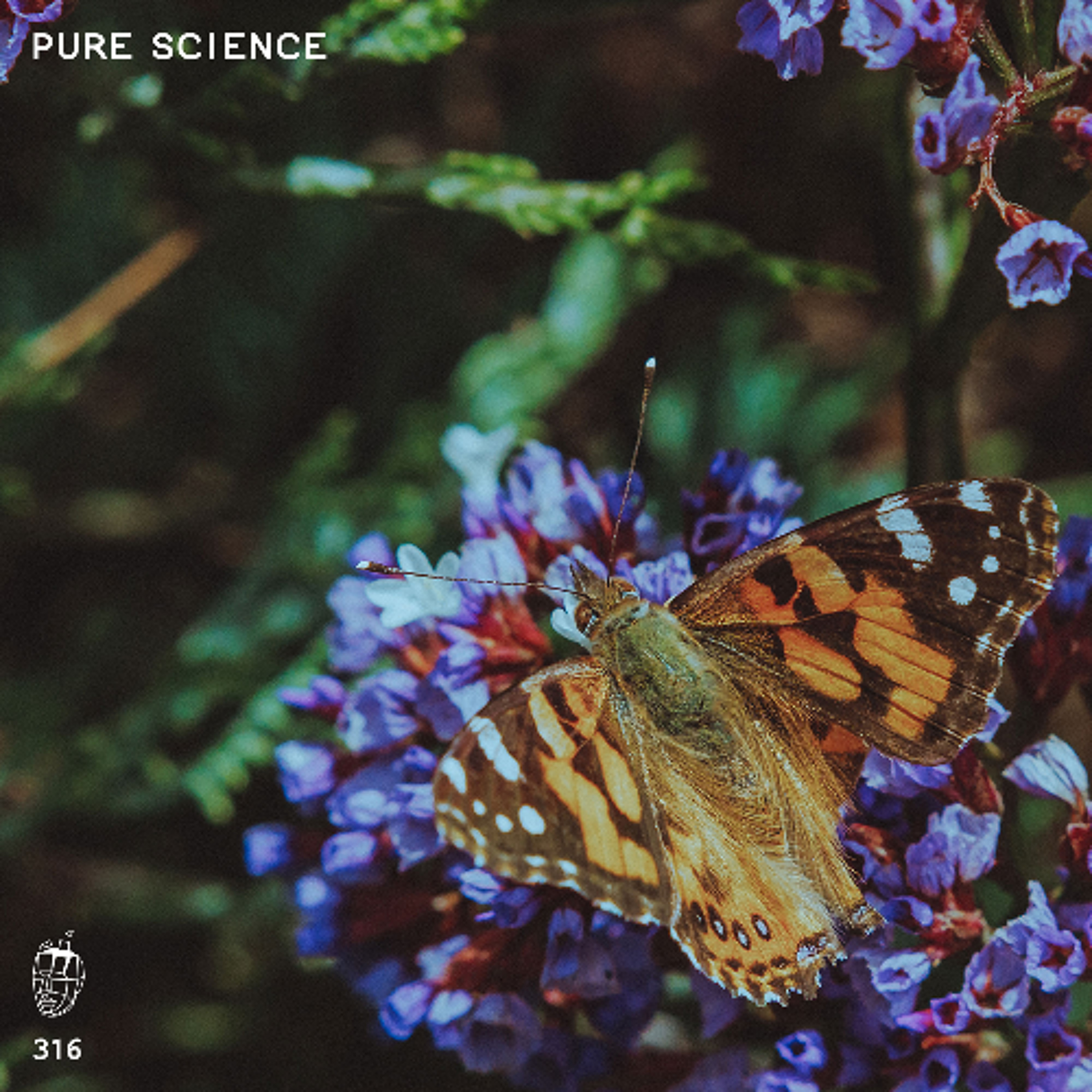 MDC.316 Pure Science