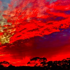 GVTS - Nullarbor (Live Extract)